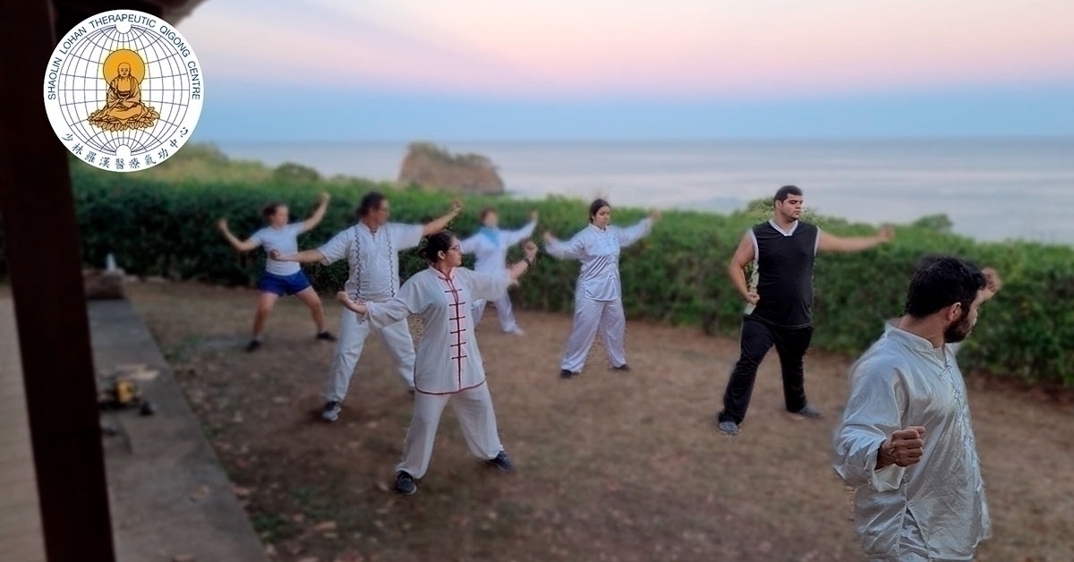 Seminario de Verano Lohan Qigong y Tai Chi Chuan Principiantes - 2023